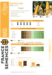 BAYFIX