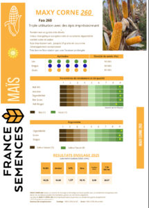 MAXY CORNE 260