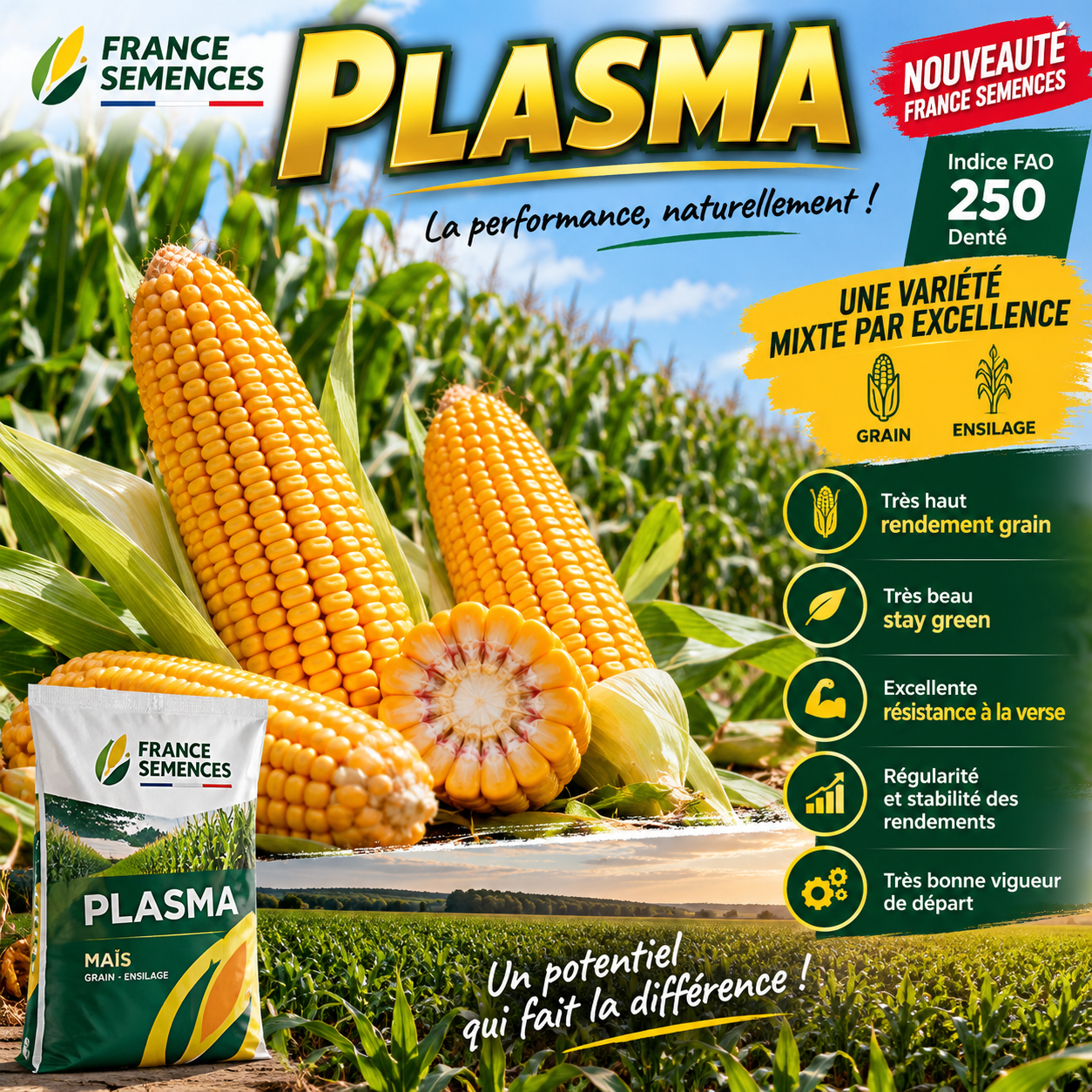 PLASMA